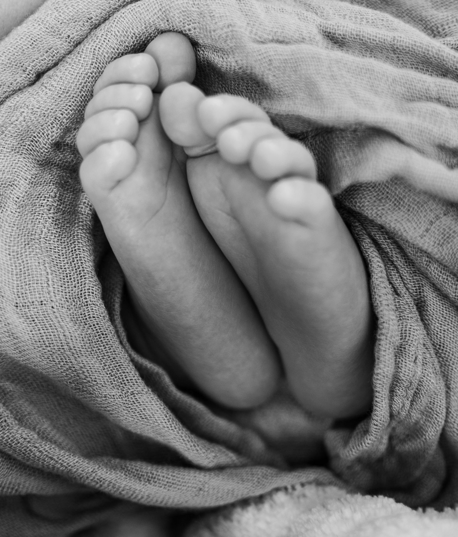 Close-up black and white photo of tiny baby feet wrapped in soft fabric.