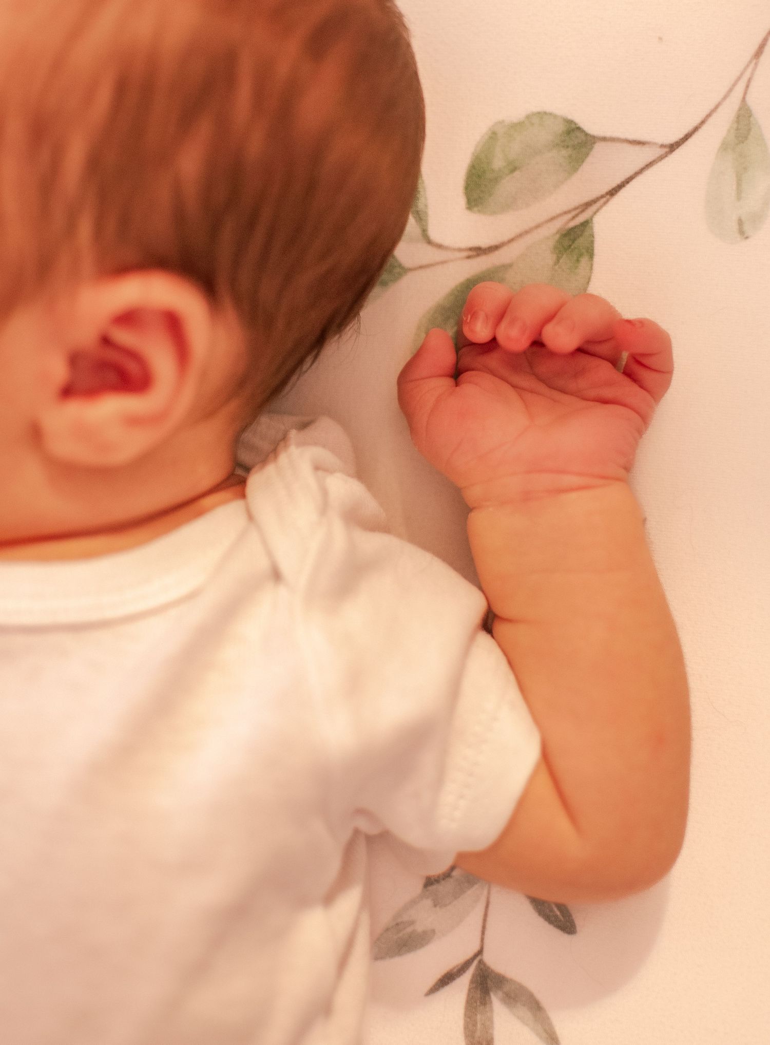 Close-up of a sleeping baby's hands and face against a white background.