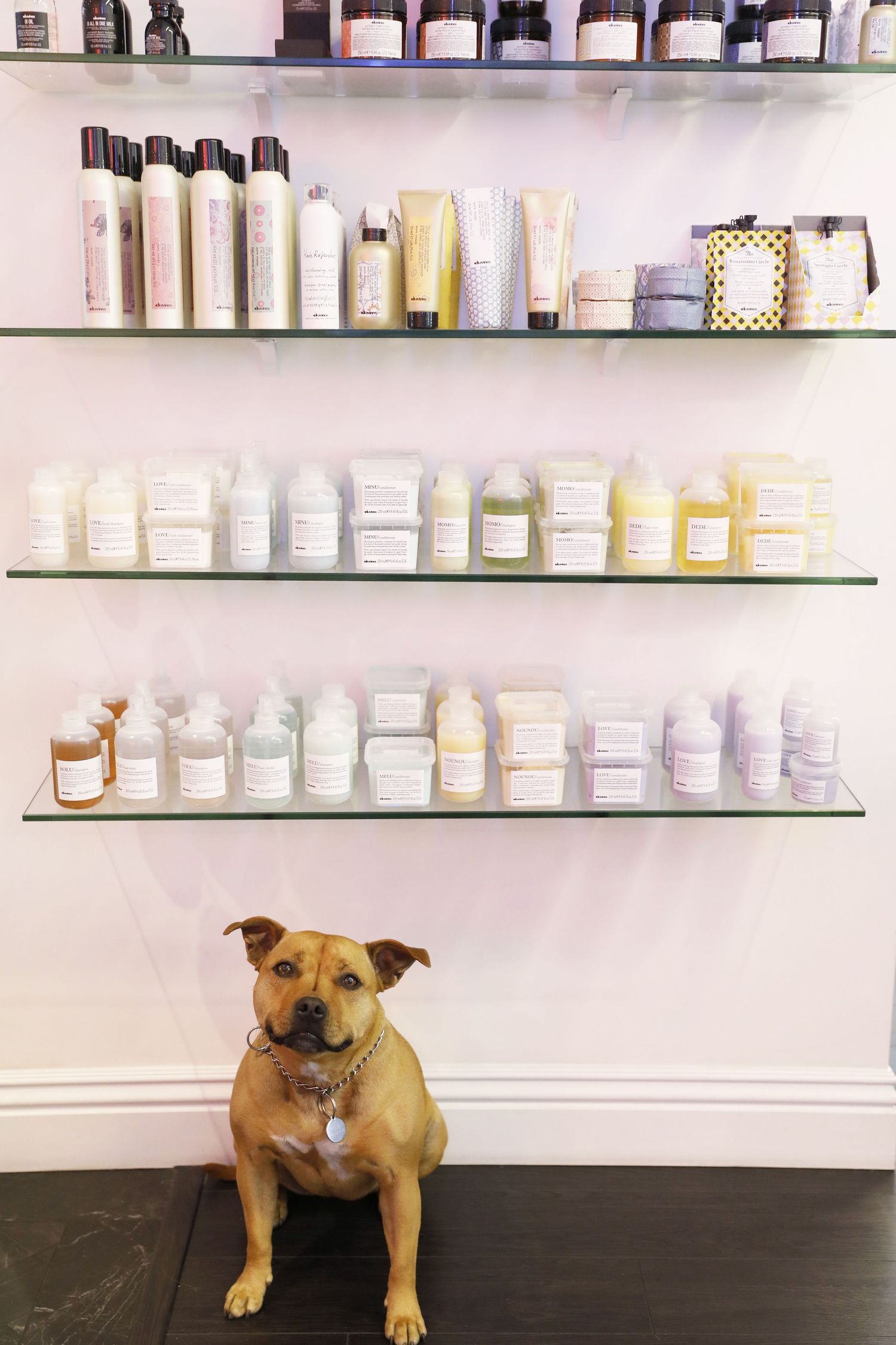 Bomane Salon, Los Angeles