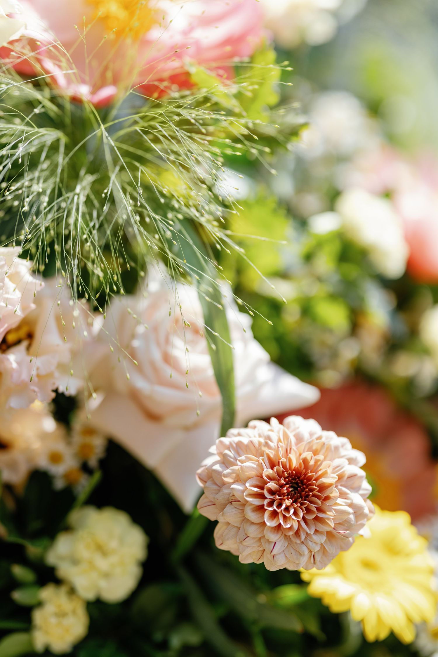 Close-up of a delicate pink dahlia bloom with soft greenery in the background.