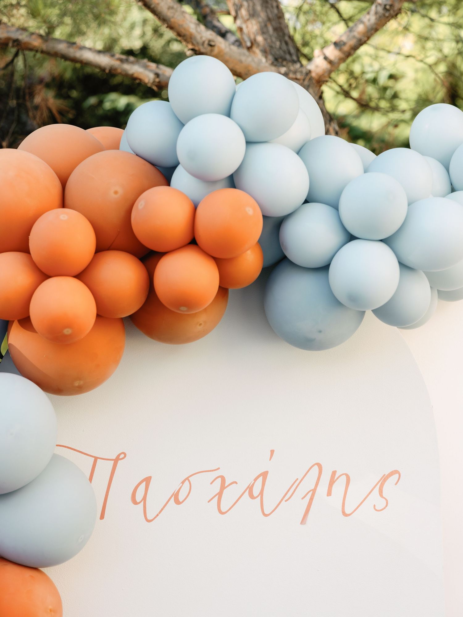 A decorative balloon arch installation in soft blue and peach colors with text lettering against a natural outdoor backdrop.
