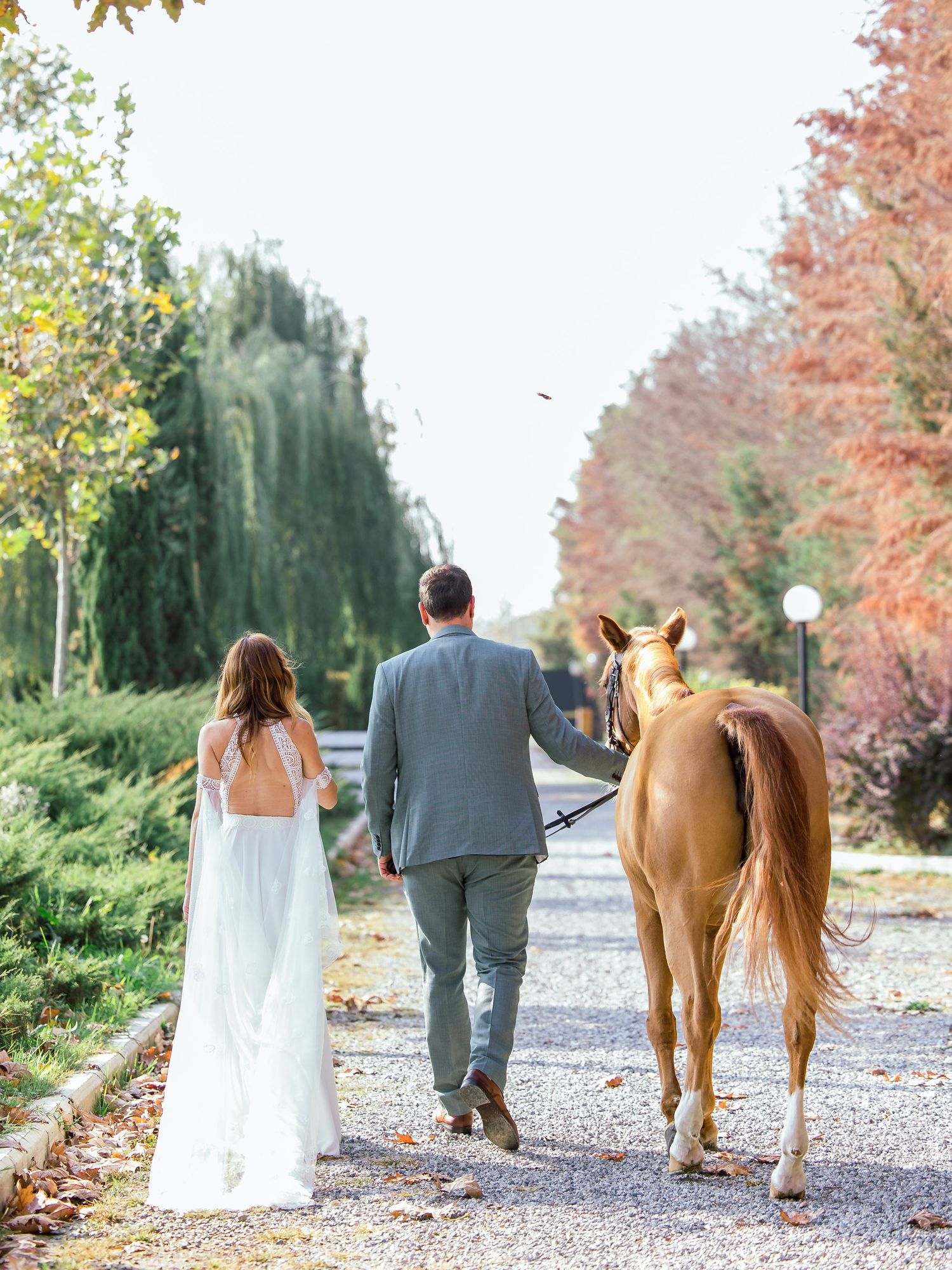 Newlyweds walking with brown horse along autumn path with colorful foliage.