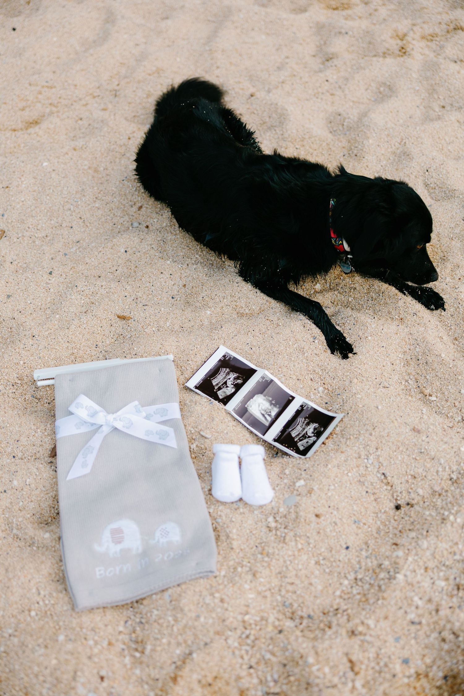 Ultrasound photos and baby socks displayed on sand next to a black dog and gift bag.