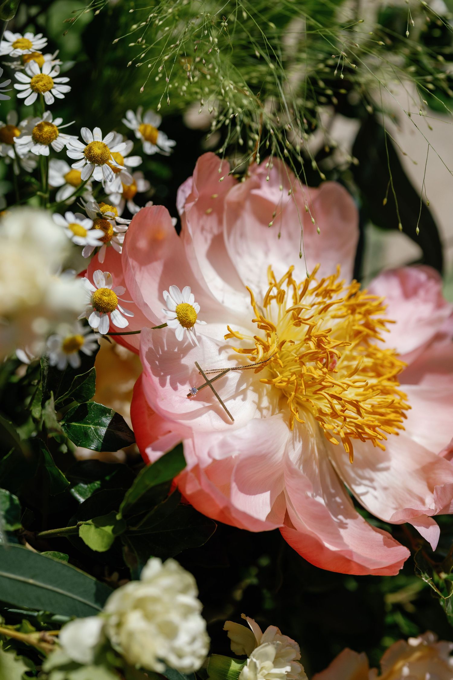 A pink peony flower with yellow center surrounded by small white daisies.