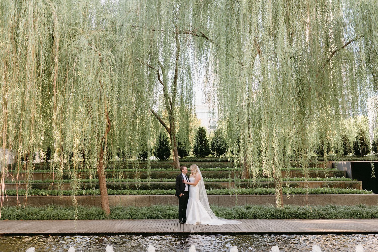 Editorial bride and groom portrait beneath a cascading willow tree in at the Nasher Sculpture Center in Downtown Dallas.