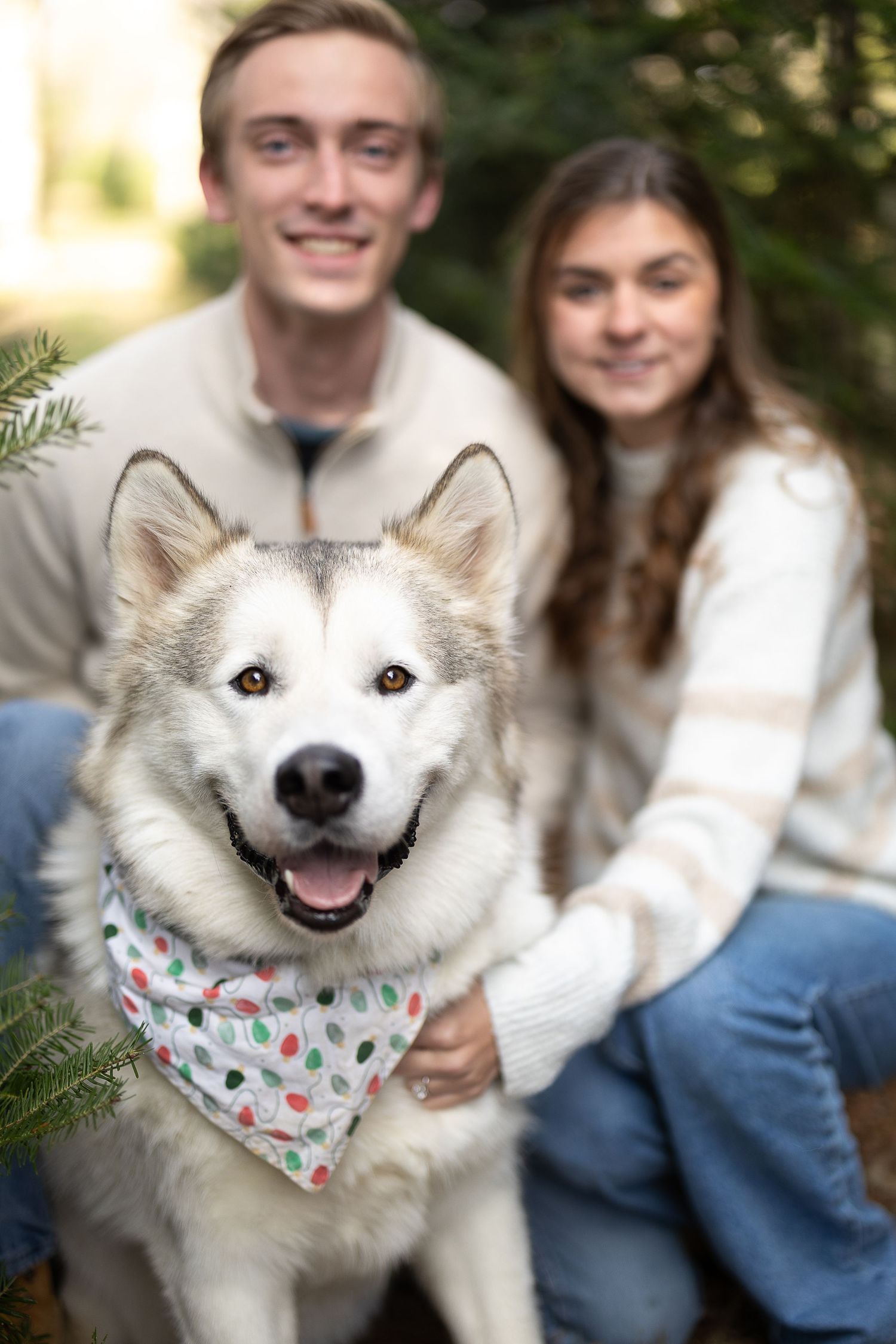 A smiling Husky dog wearing a festive bandana poses with a young couple outdoors near evergreen trees. Photographed by Katie Chamberlain