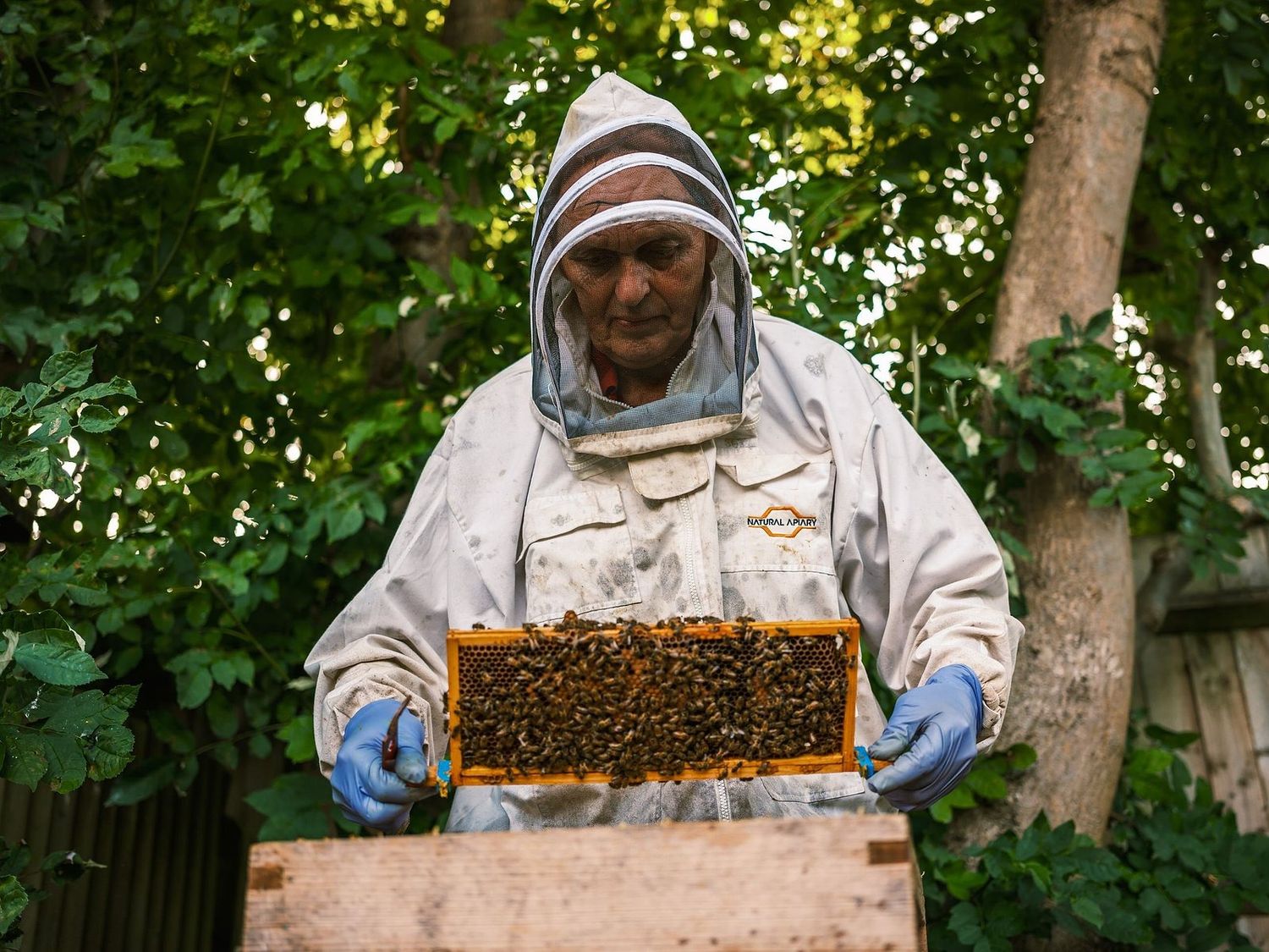 Bee Keeper - Sam Peat Photography