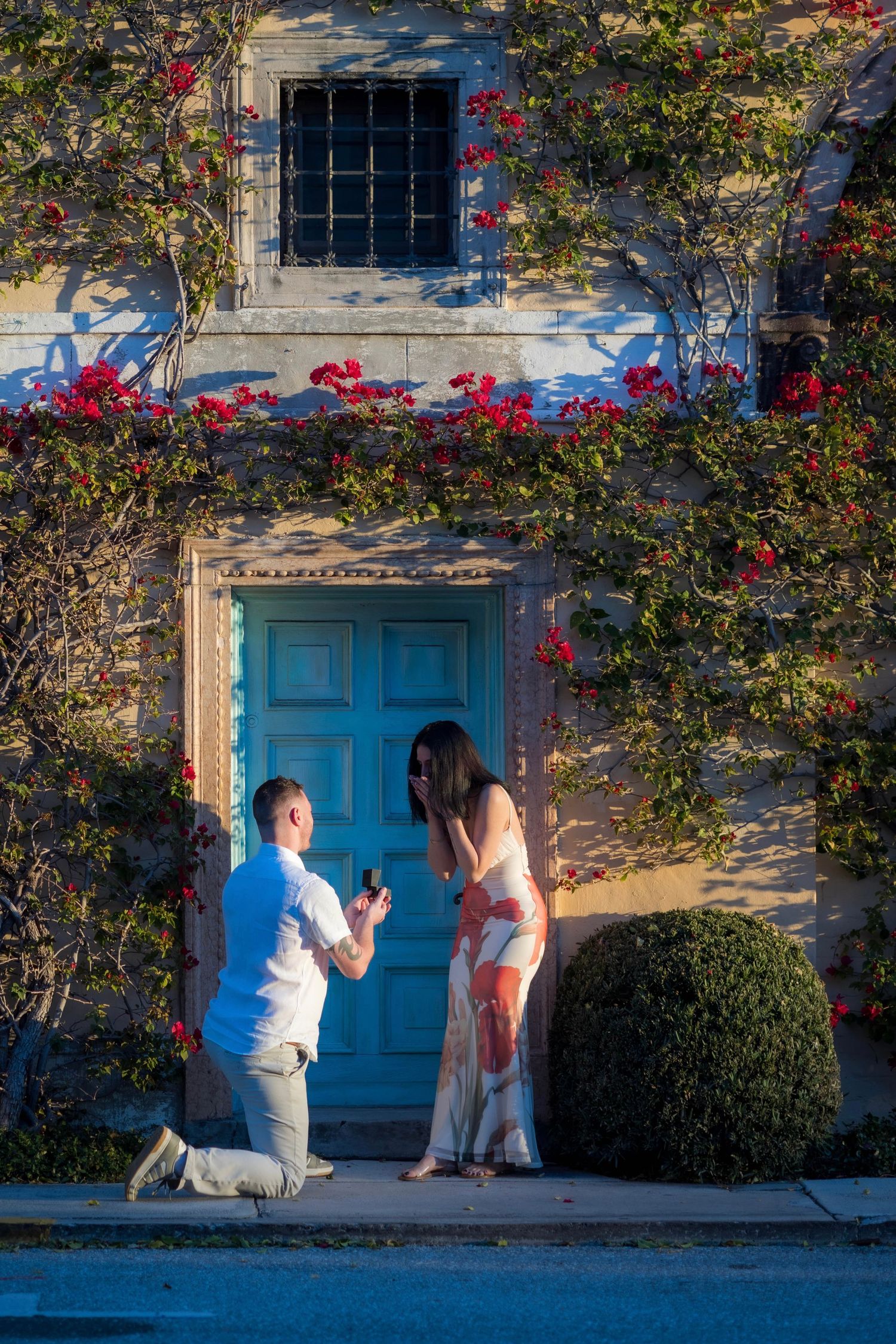 Proposal moment captured in front of a blue door surrounded by red roses.