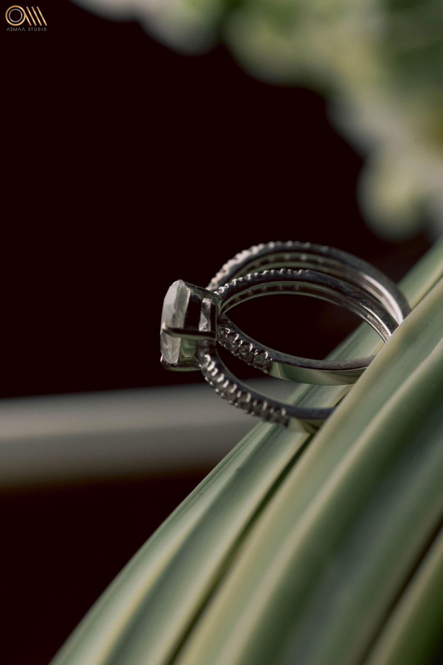 Close-up of a crystal-embellished necklace draped over green palm leaves.