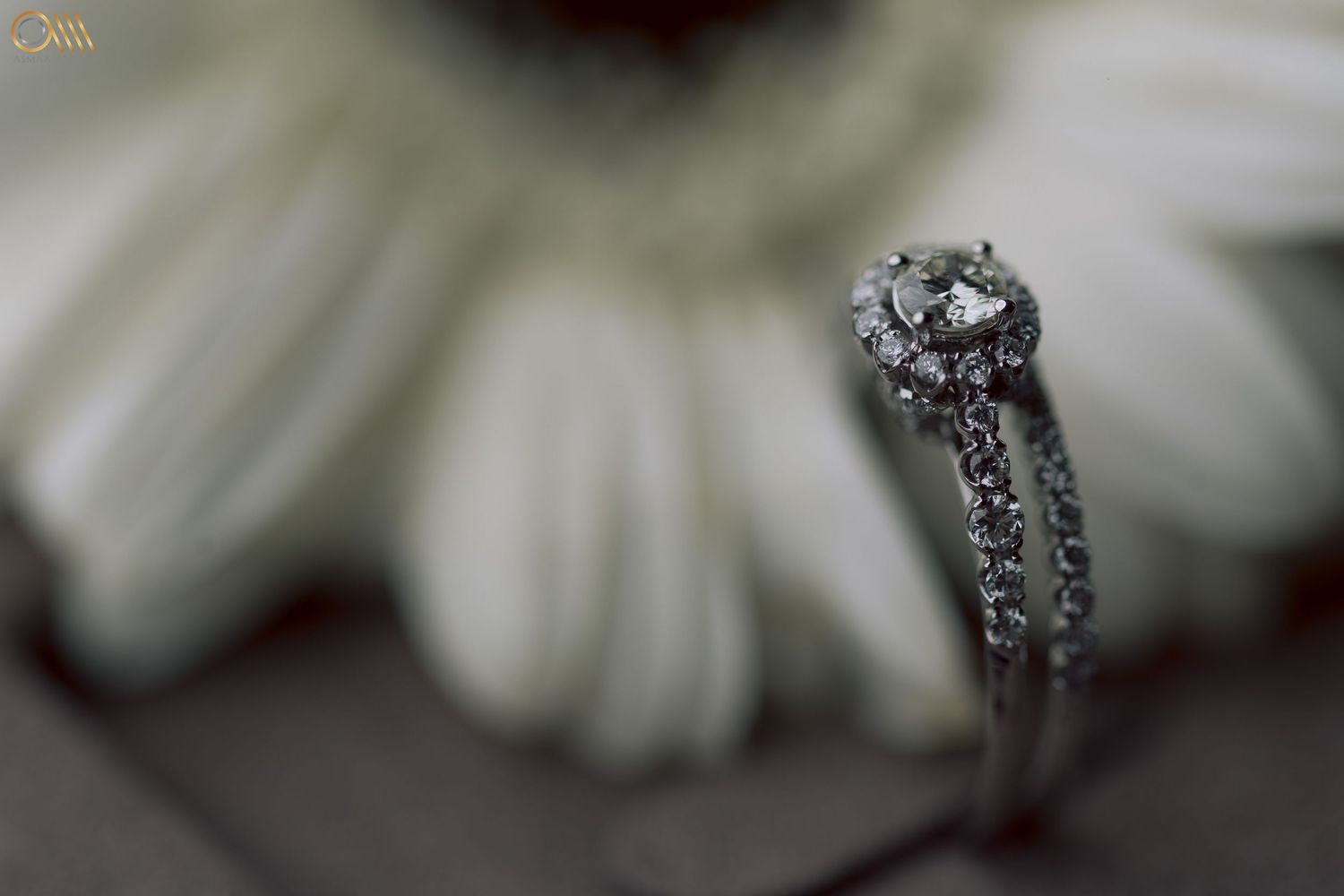 Close-up of white daisy petals with jewelry details in soft focus.