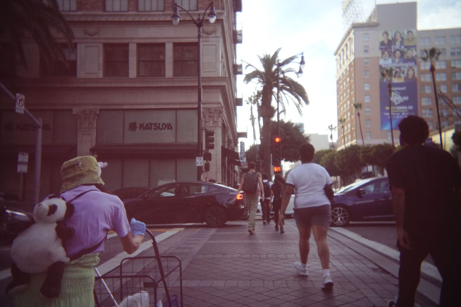 Urban street scene with palm trees and historic buildings in afternoon light.