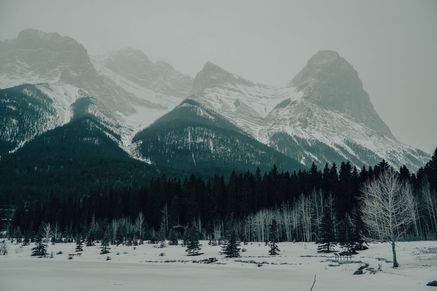 Panoramic winter mountain landscape with snow-covered peaks and evergreen trees.