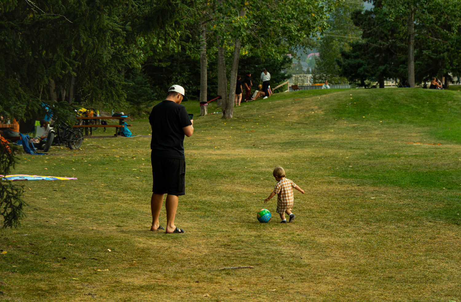 People enjoying a sunny day in a grassy park area with trees.