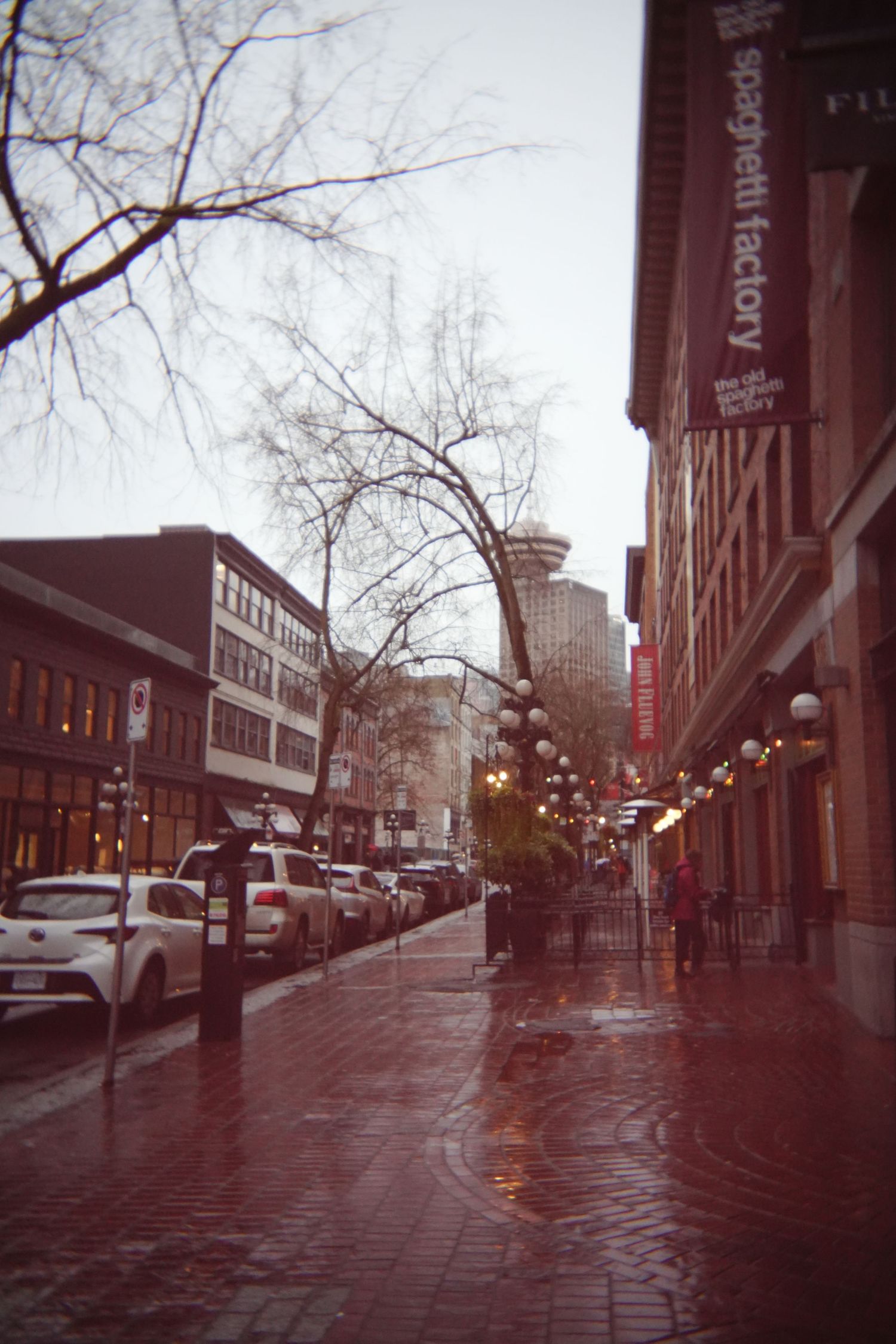 Rainy urban street scene with bare trees and brick buildings on a gloomy day.