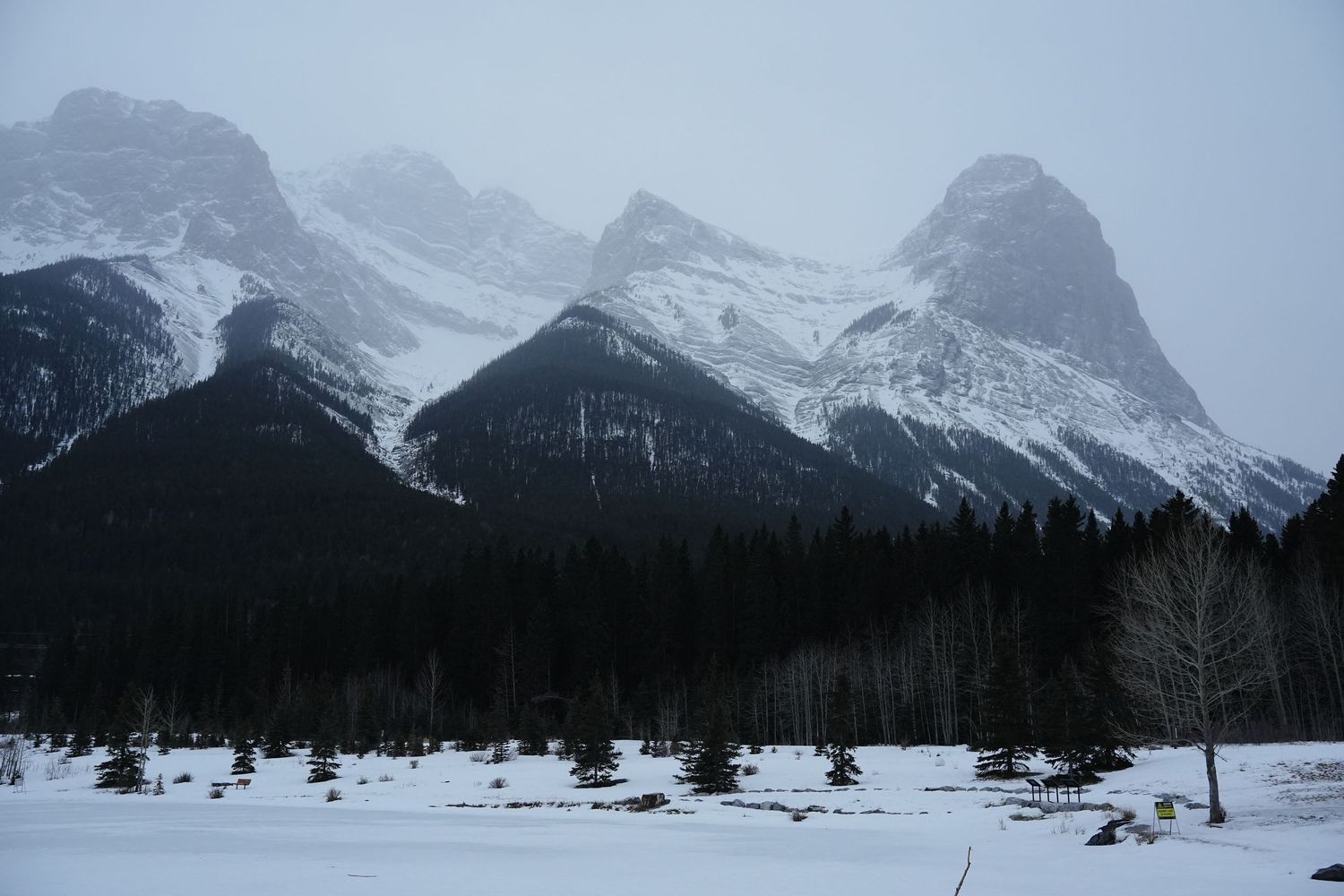 Snowy mountain peaks with evergreen forest in winter wilderness setting.