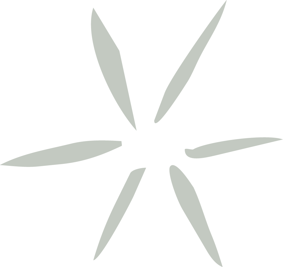Abstract star-shaped decorative element with soft gray elongated petals radiating from center on white background.