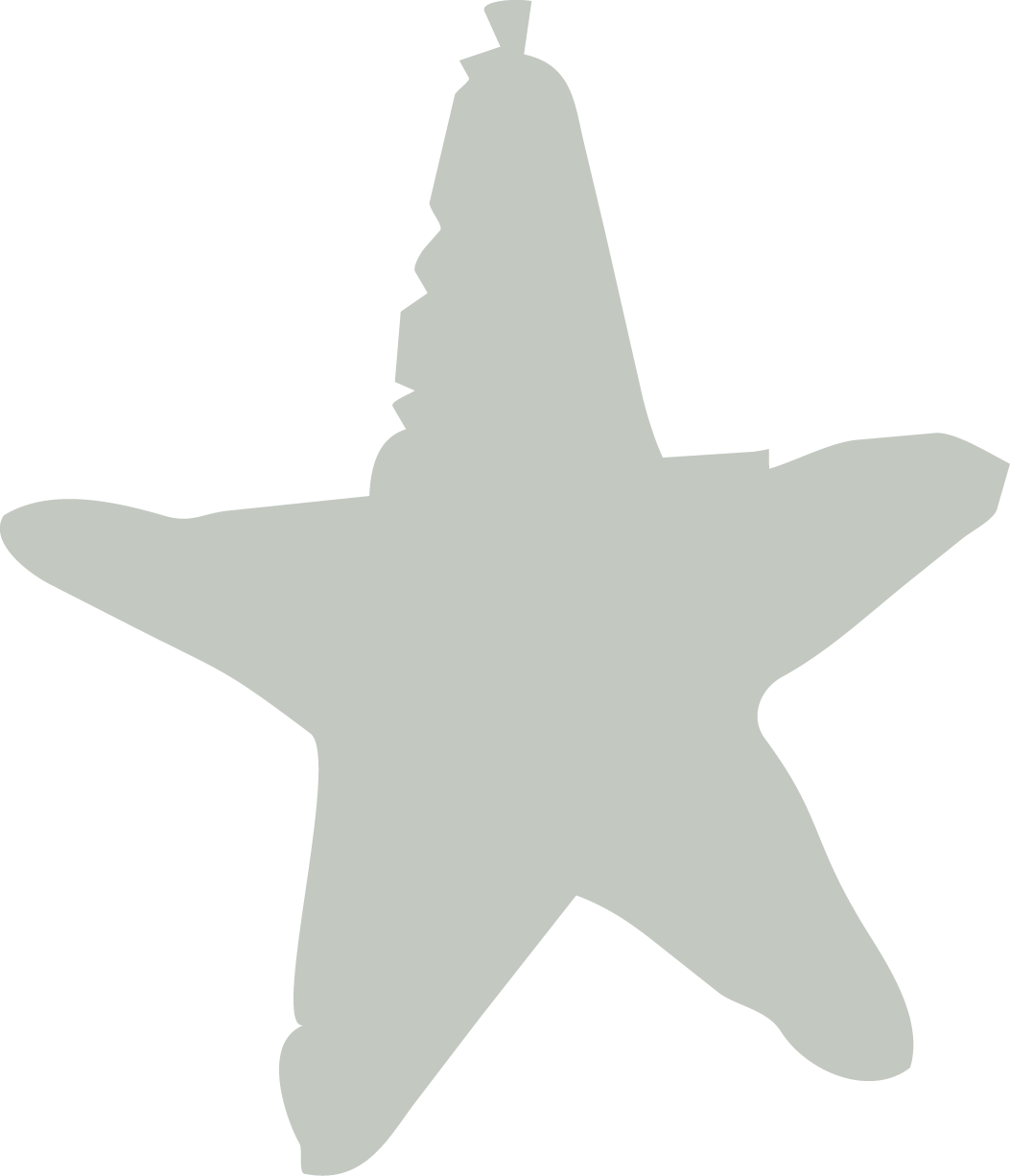 A light gray starfish silhouette with a rustic, hand-drawn texture on a white background.