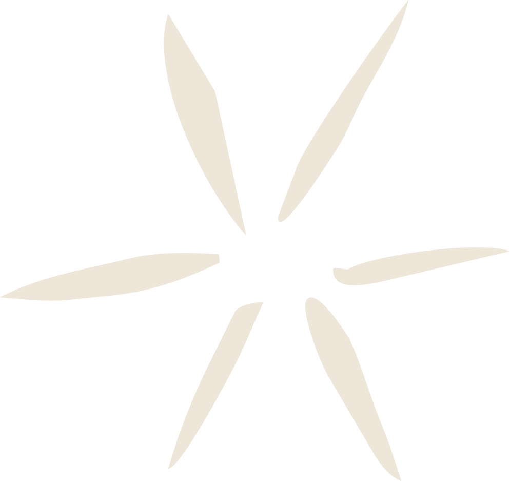 A delicate six-pointed star burst design in soft beige tones on a white background.