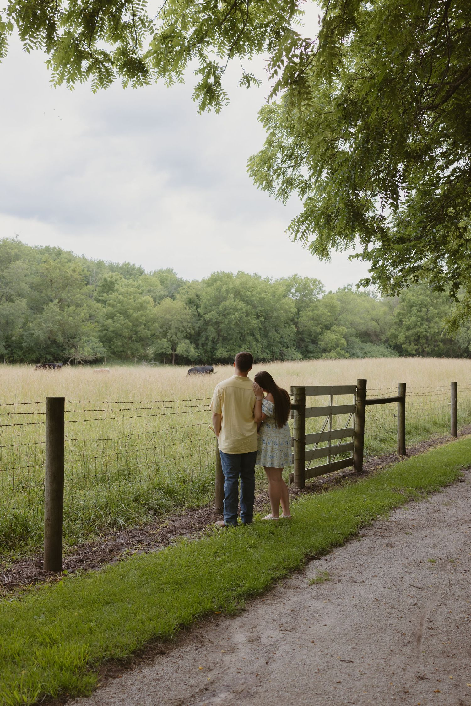Couple standing arm in arm by a wooden fence gate overlooking a rural field with trees and grazing animals.