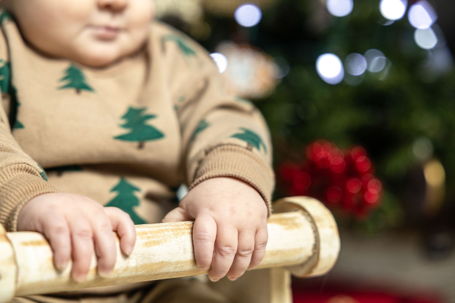 Little hands holding a sleigh during a mini session.
