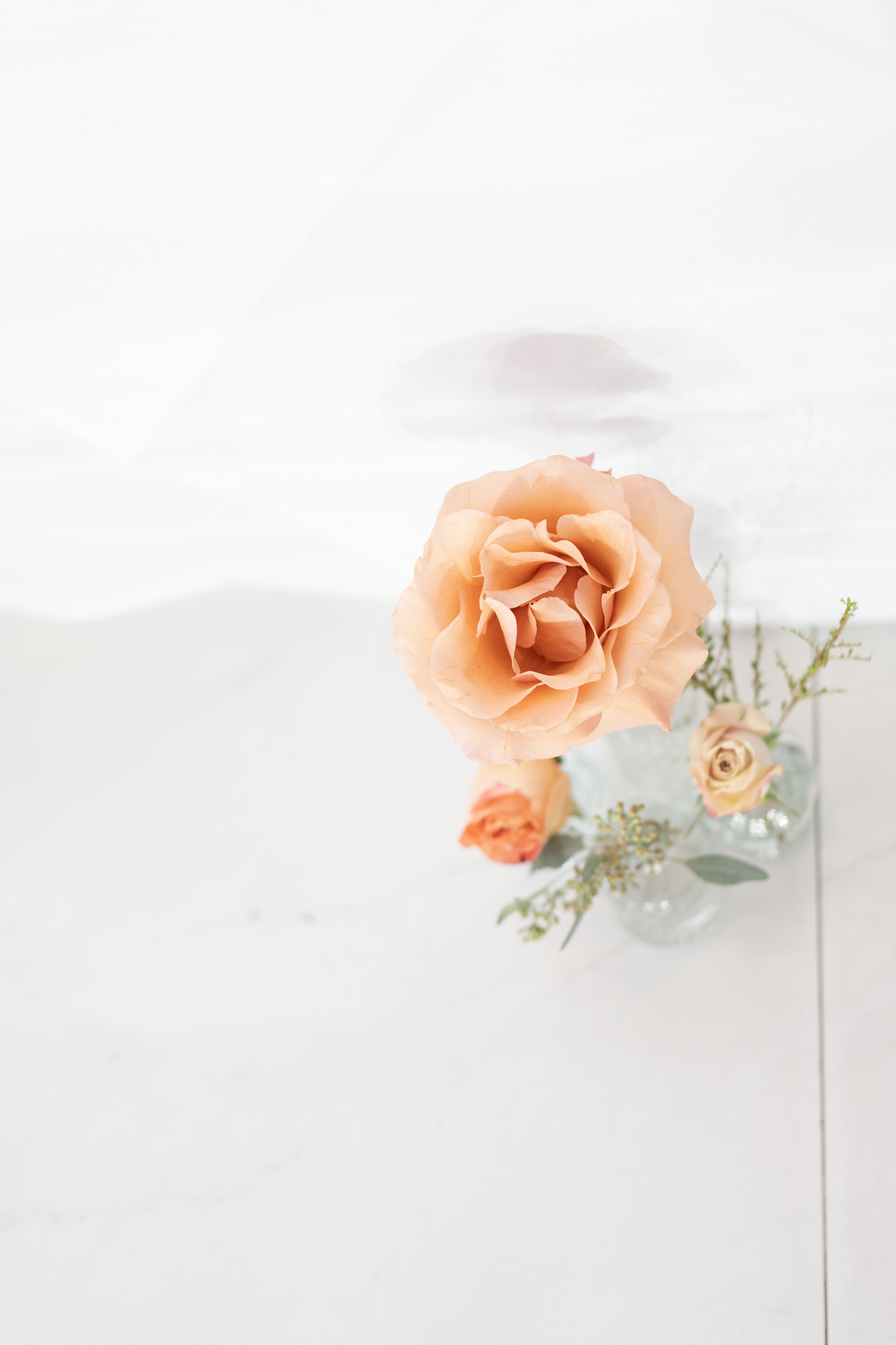 Elegant peach roses in a clear glass vase on a white surface, perfect for wedding or floral decor inspiration.