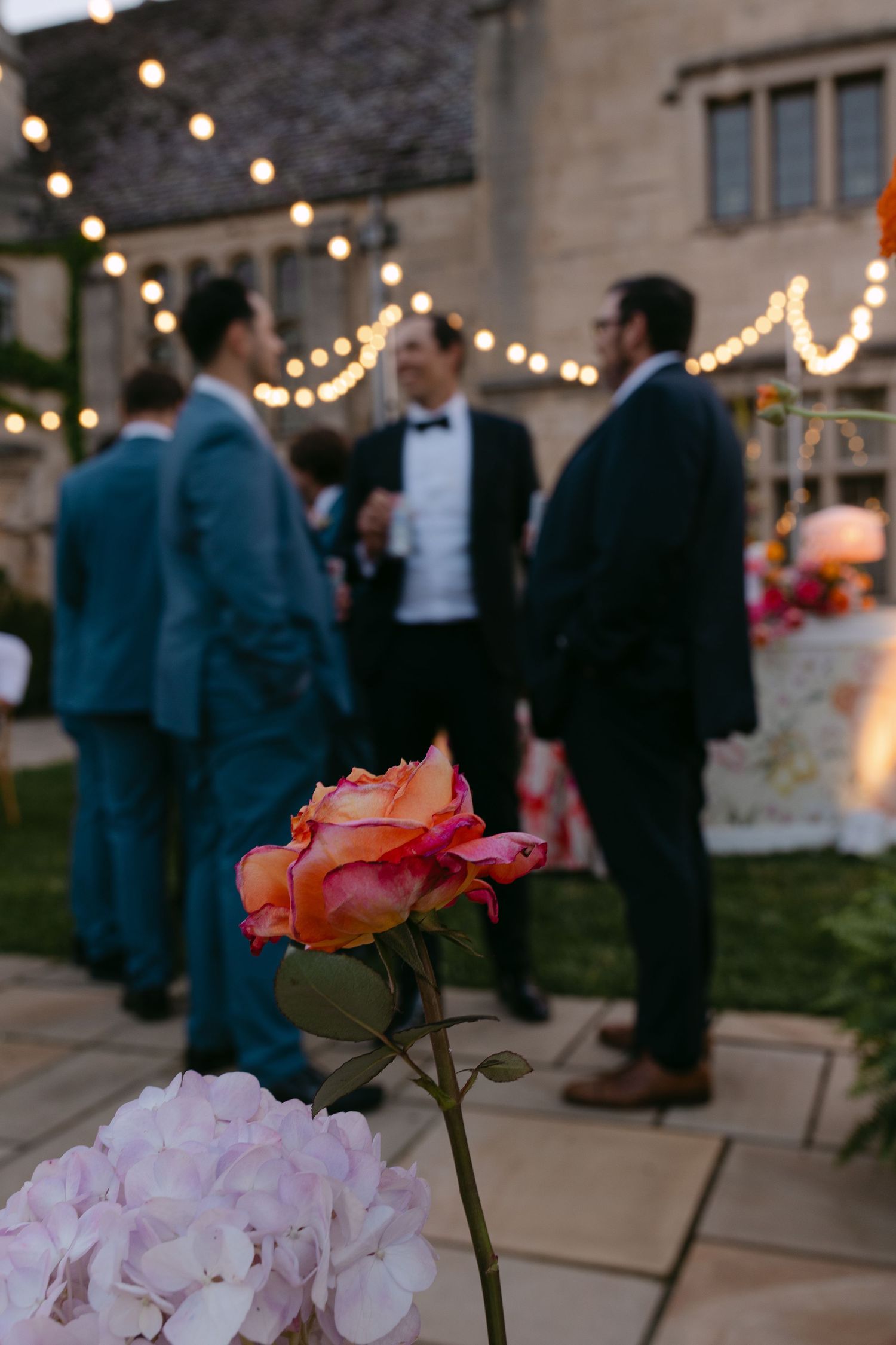 Vibrant orange rose in focus with wedding guests in tuxedos mingling under festoon lights at dusk.