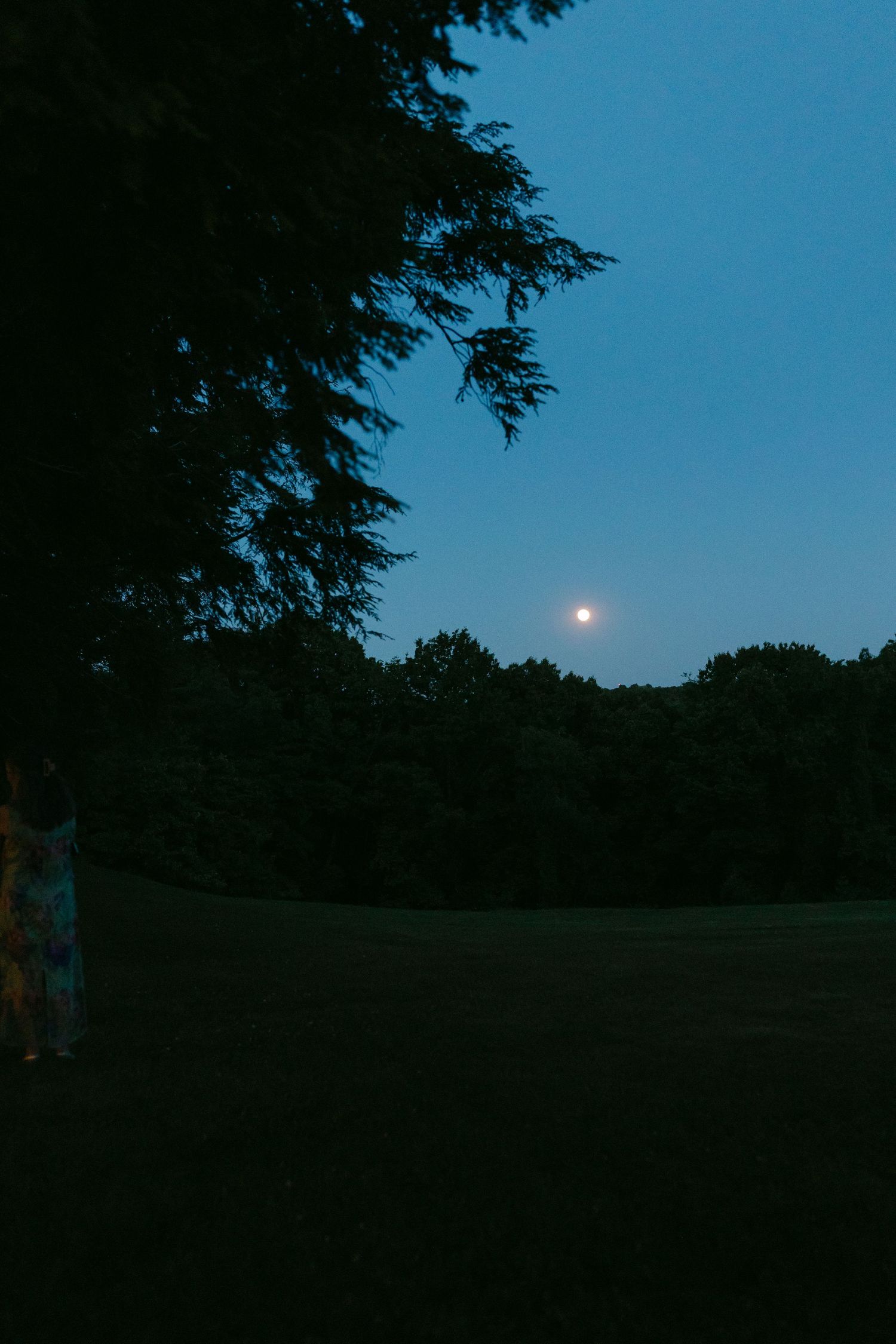Serene twilight landscape with full moon rising over silhouetted trees against deep blue evening sky at outdoor wedding venue.