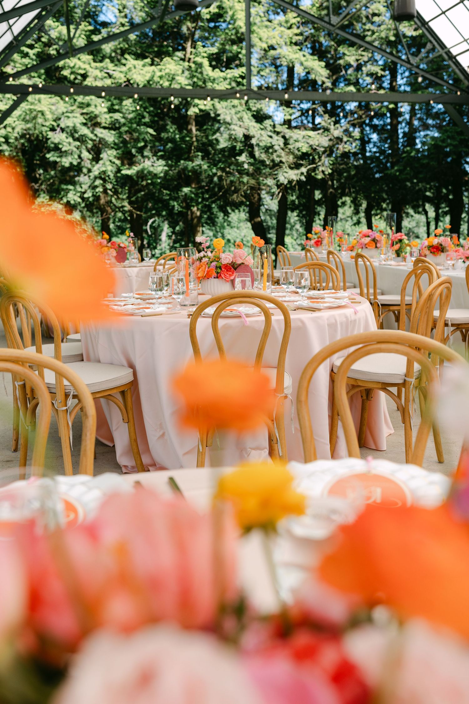 Elegant wedding reception in greenhouse with wooden chairs, white linens, and vibrant orange and pink floral centerpieces.