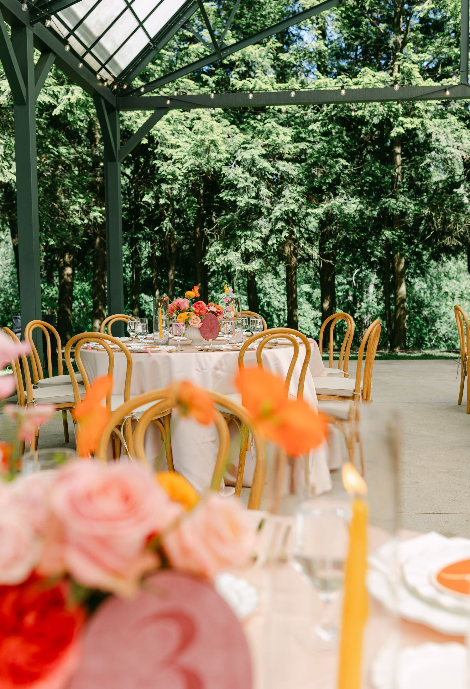 Elegant outdoor wedding reception under a glass pergola with gold bentwood chairs and vibrant orange and pink floral centerpieces.