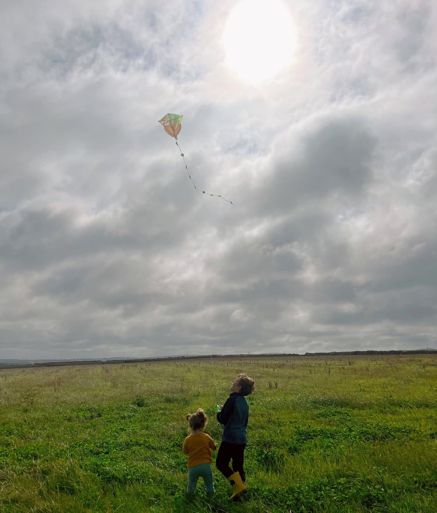Two people flying a kite in green field under cloudy sky.