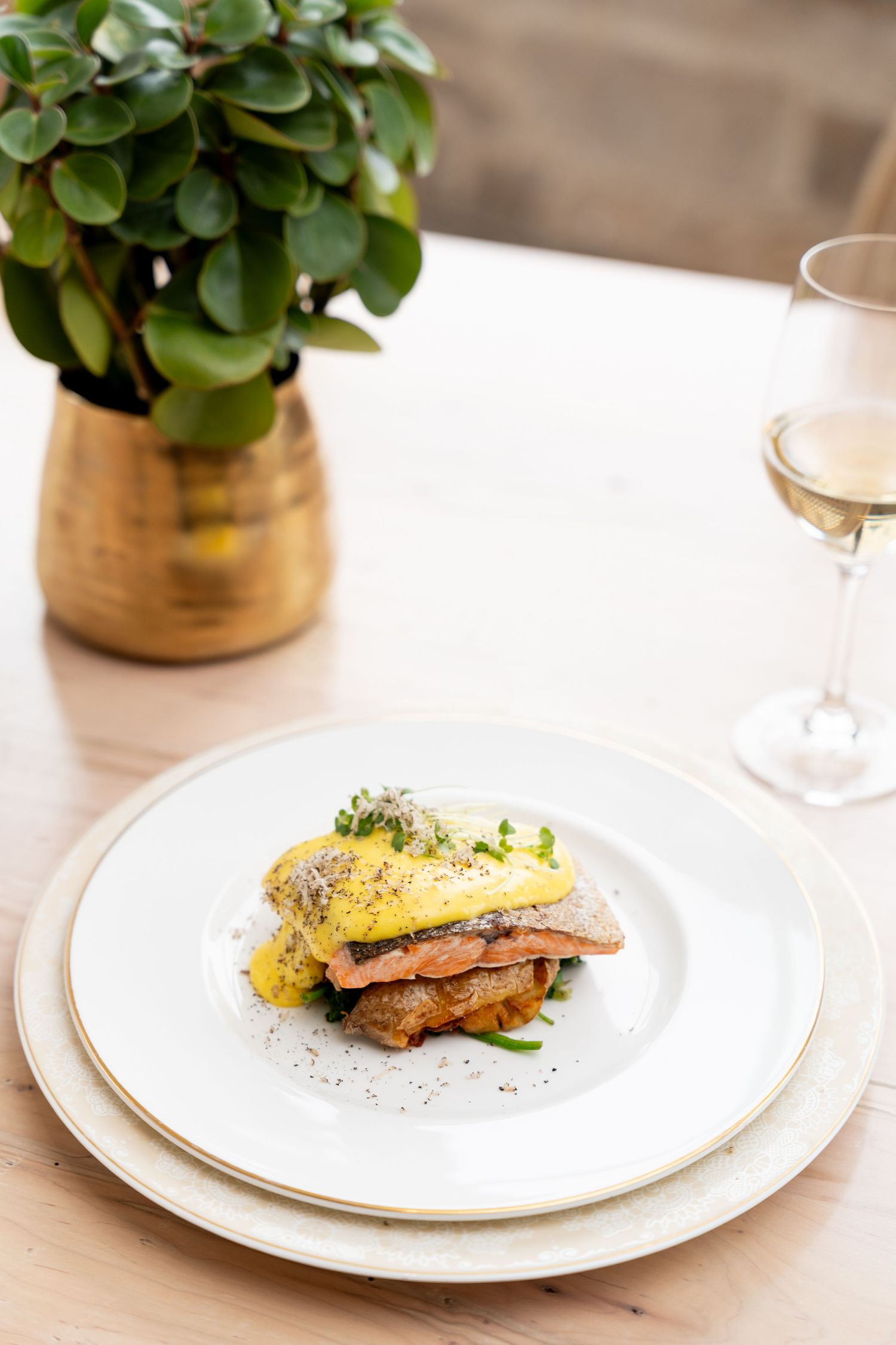 Elegant plated fish dish with yellow garnish served on white plates with potted plant decor.
