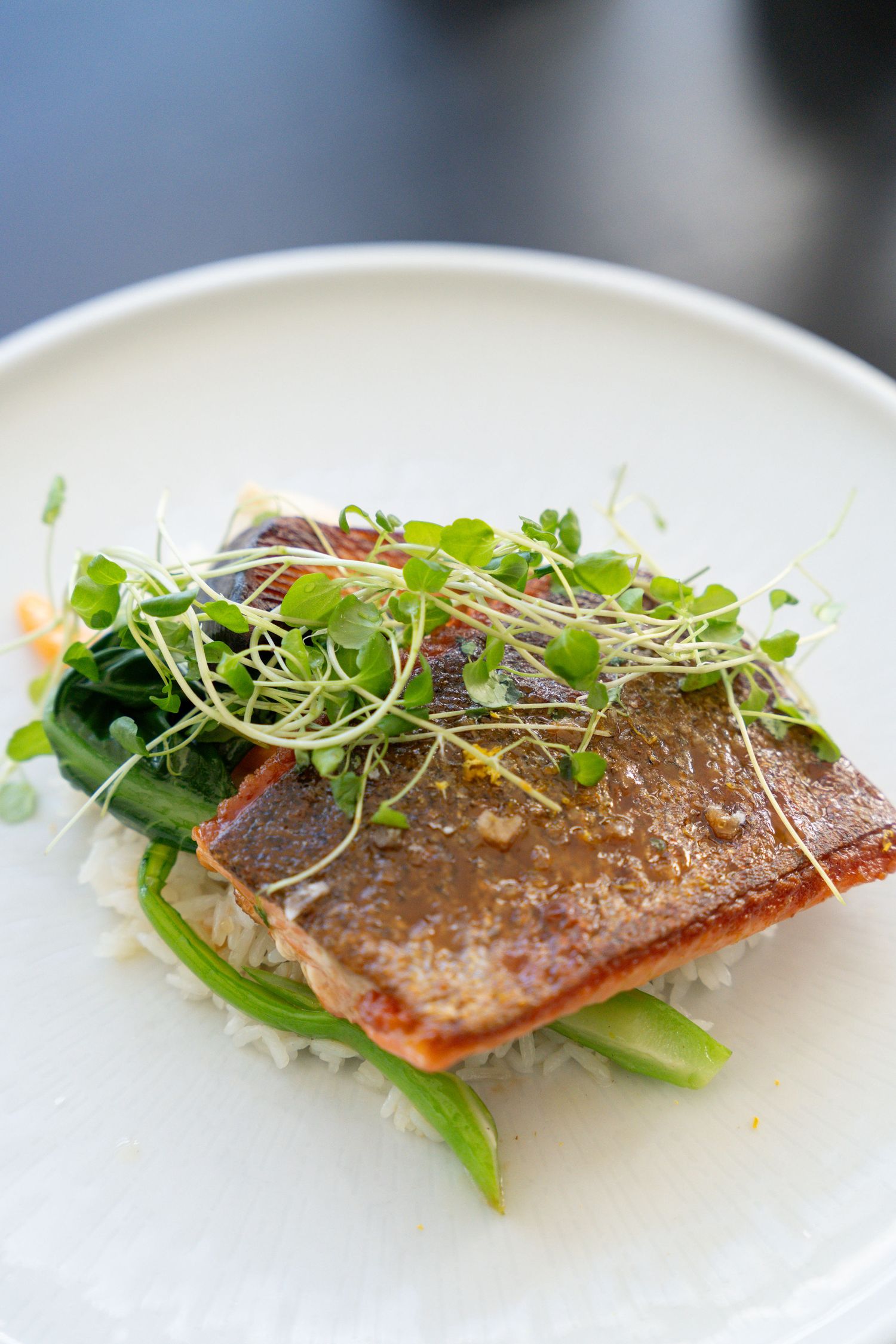 Pan-seared fish fillet garnished with microgreens and asparagus on white plate.