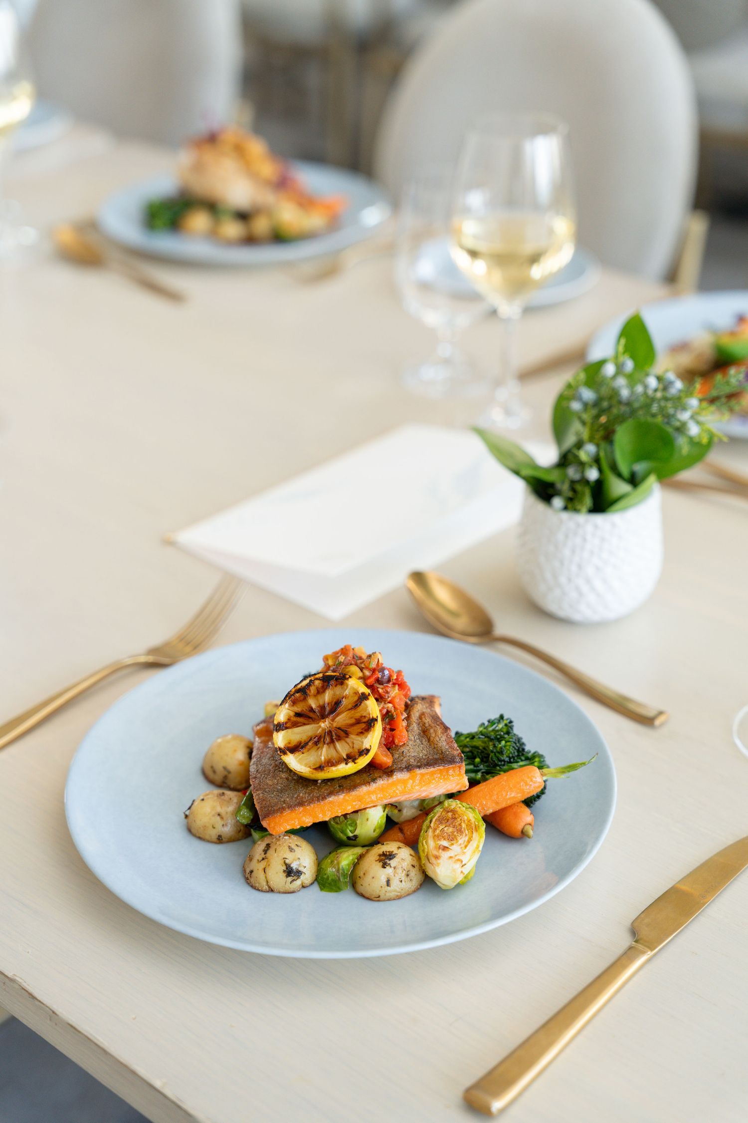 Fine dining entrees featuring salmon and vegetables artfully plated on pale blue dishes with elegant table settings.