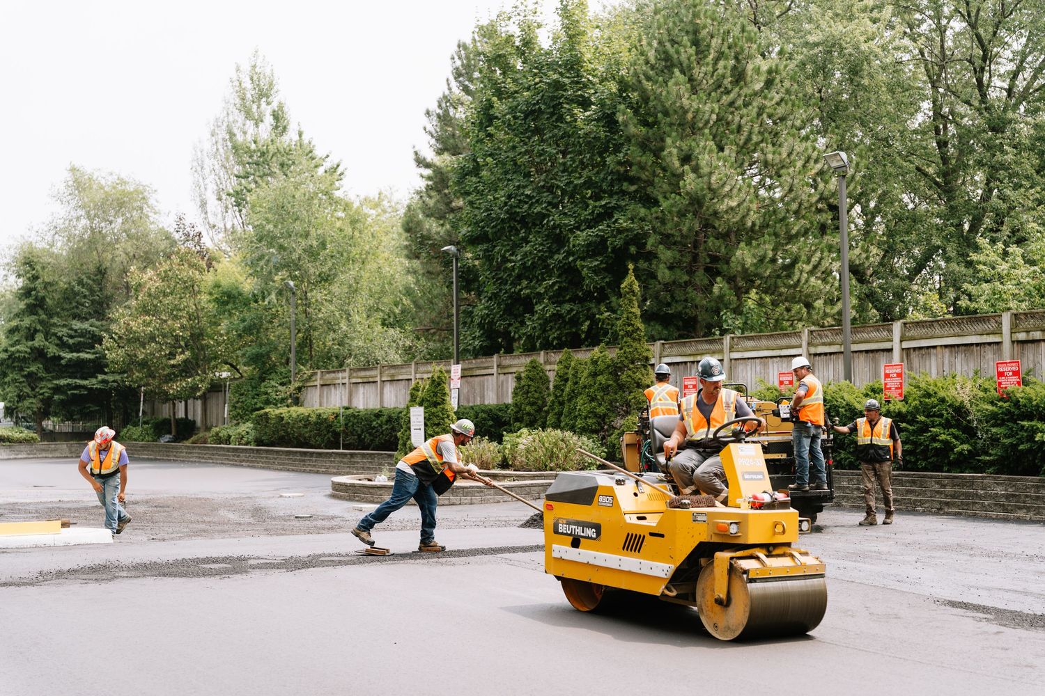 Heavy road roller and construction equipment lined up on a tree-lined street during paving work.