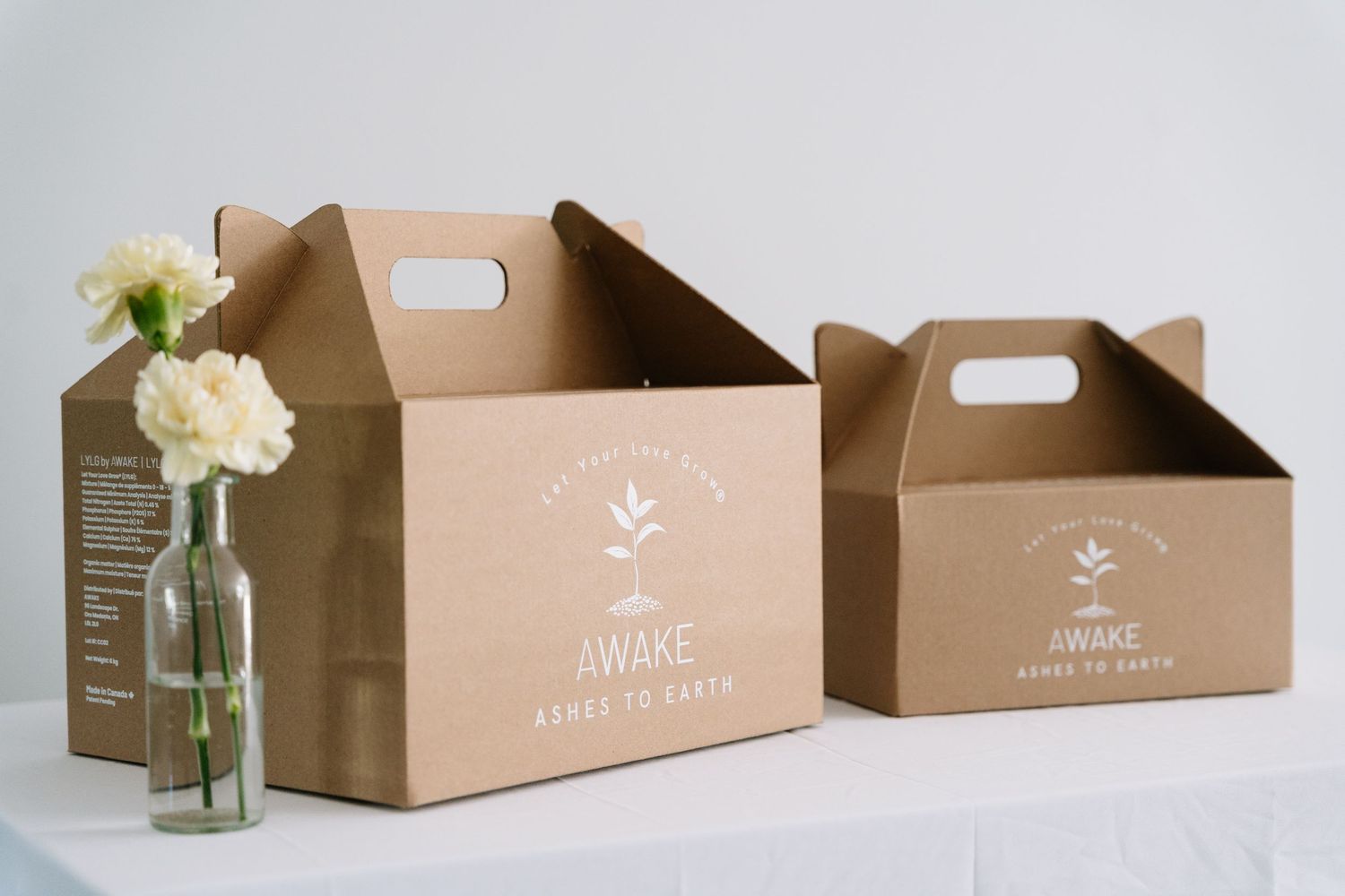 Kraft paper bakery boxes and glass vase with white flowers arranged in a minimalist product photography setup.