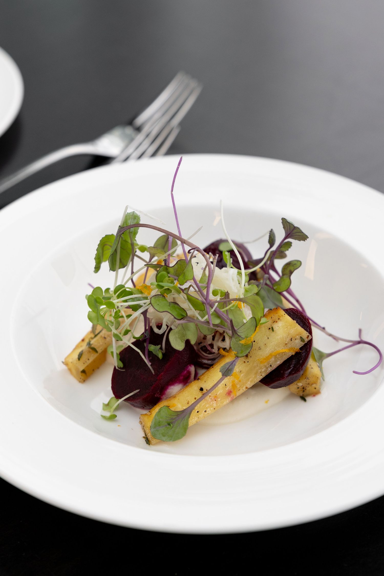 Elegant plated dish featuring roasted beets and microgreens with a delicate sauce on a white plate.