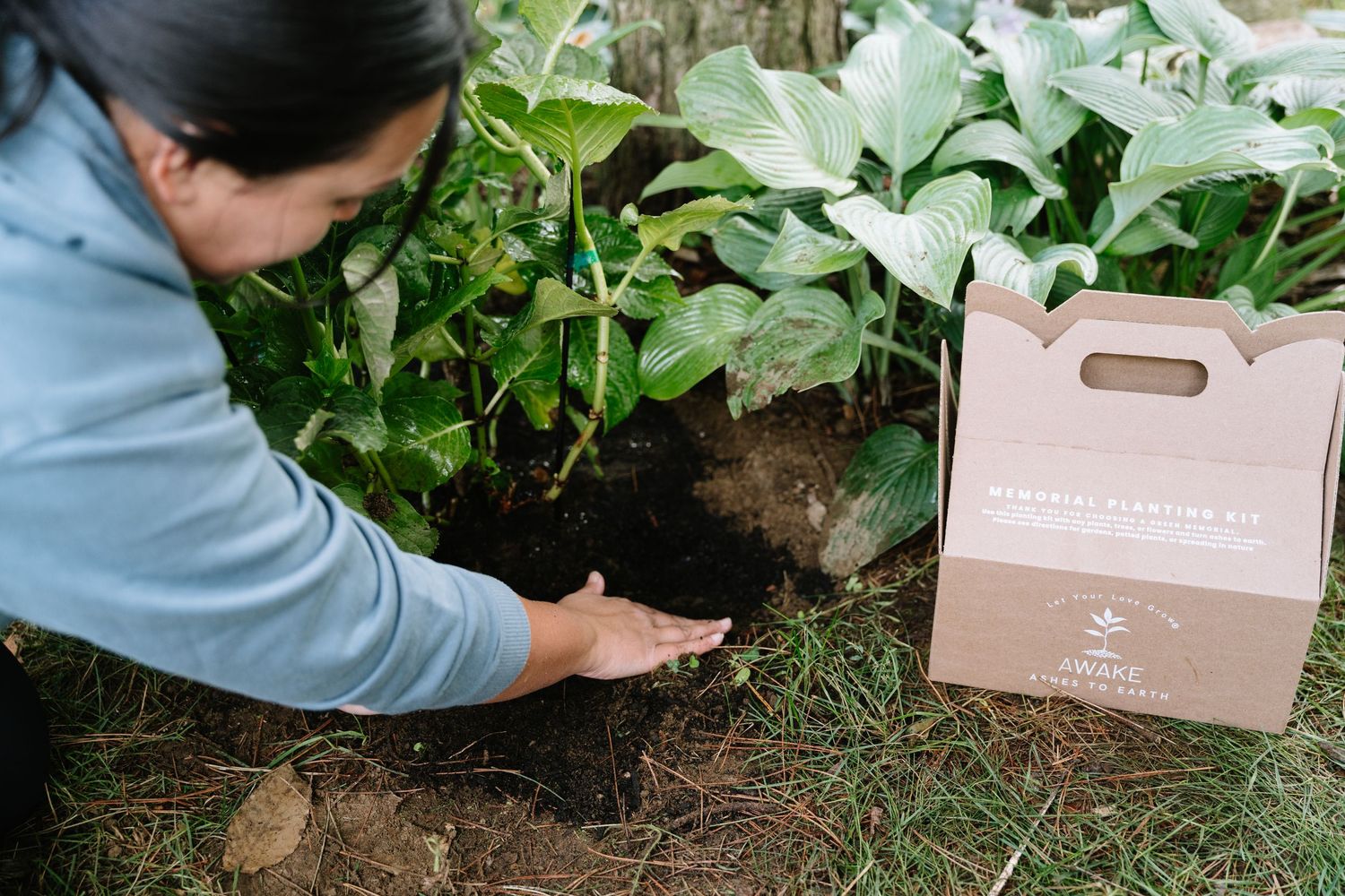 Person harvesting fresh vegetables from a garden into wooden crates on a sunny day.