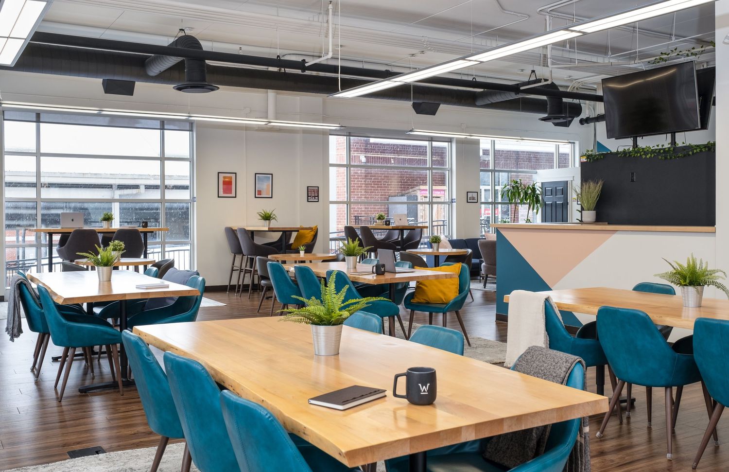 Modern open office space with wooden tables, teal chairs and large windows offering natural lighting throughout.