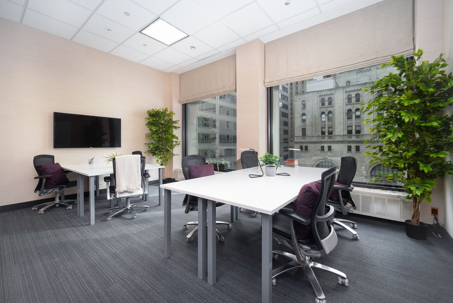 Modern office space with height-adjustable desks, ergonomic chairs, and large windows providing natural light.