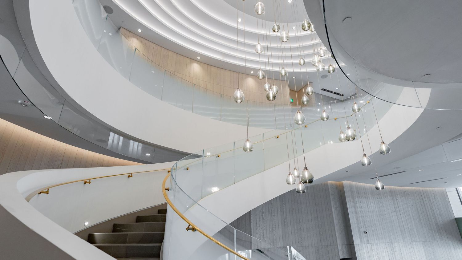 Modern curved architectural details of a white interior ceiling with circular patterns and embedded lighting fixtures.