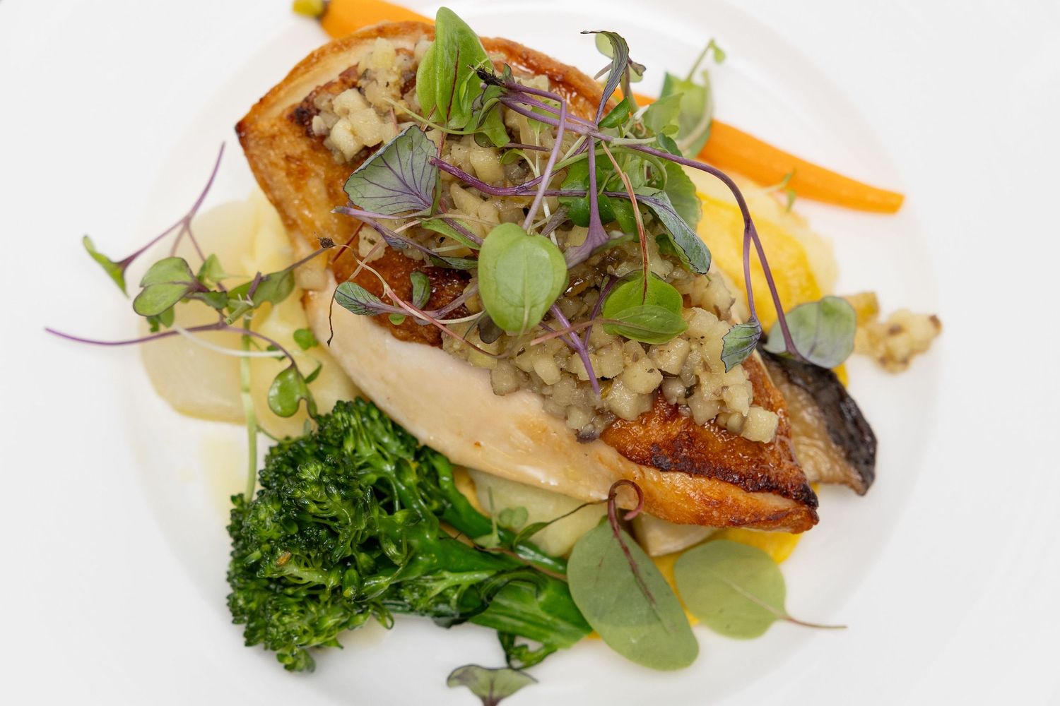 Elegant plated appetizers featuring seared fish with colorful garnishes and microgreens on white plates.