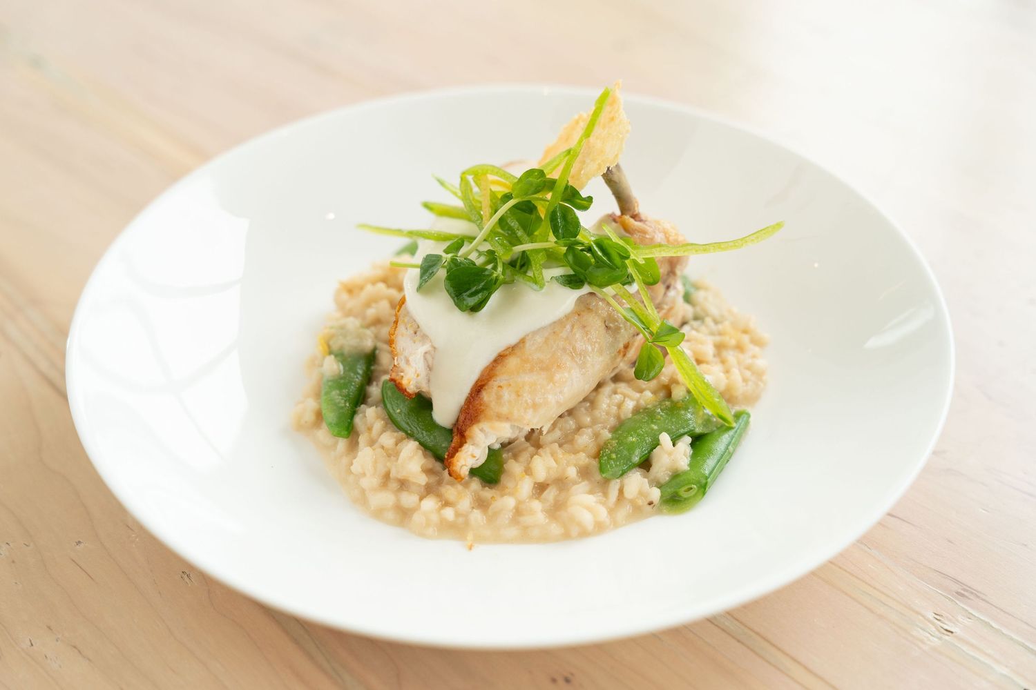 Beautifully plated risotto dish with microgreens on white ceramic plate.