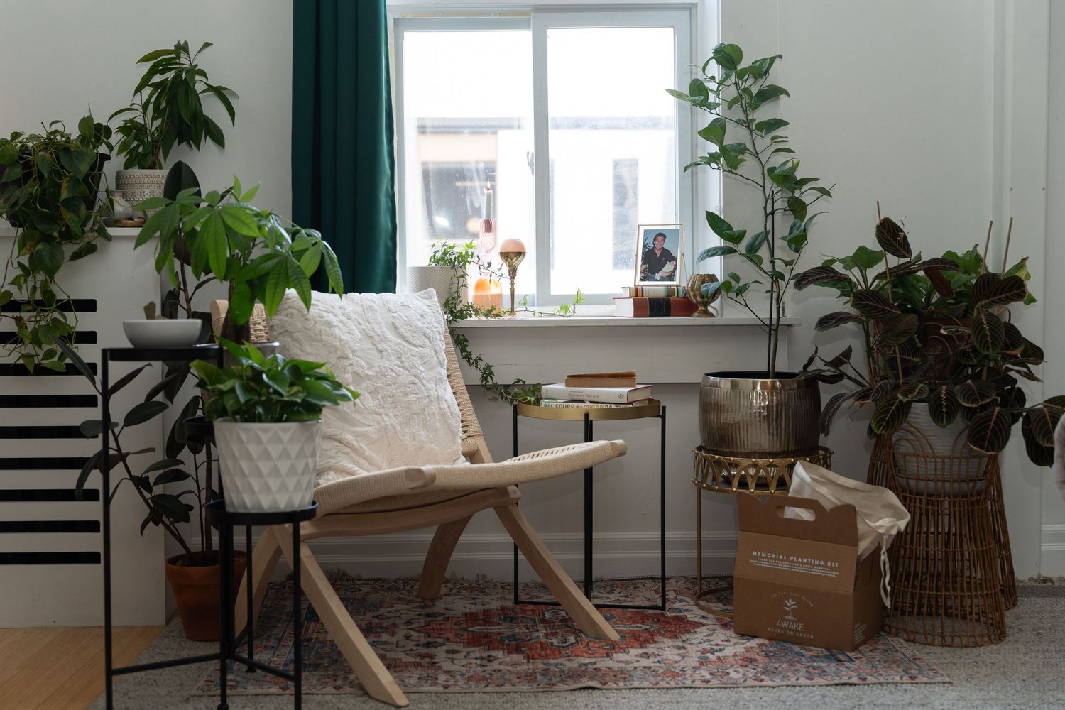 A cozy reading nook with rocking chair, houseplants, and vintage rug near a bright window.