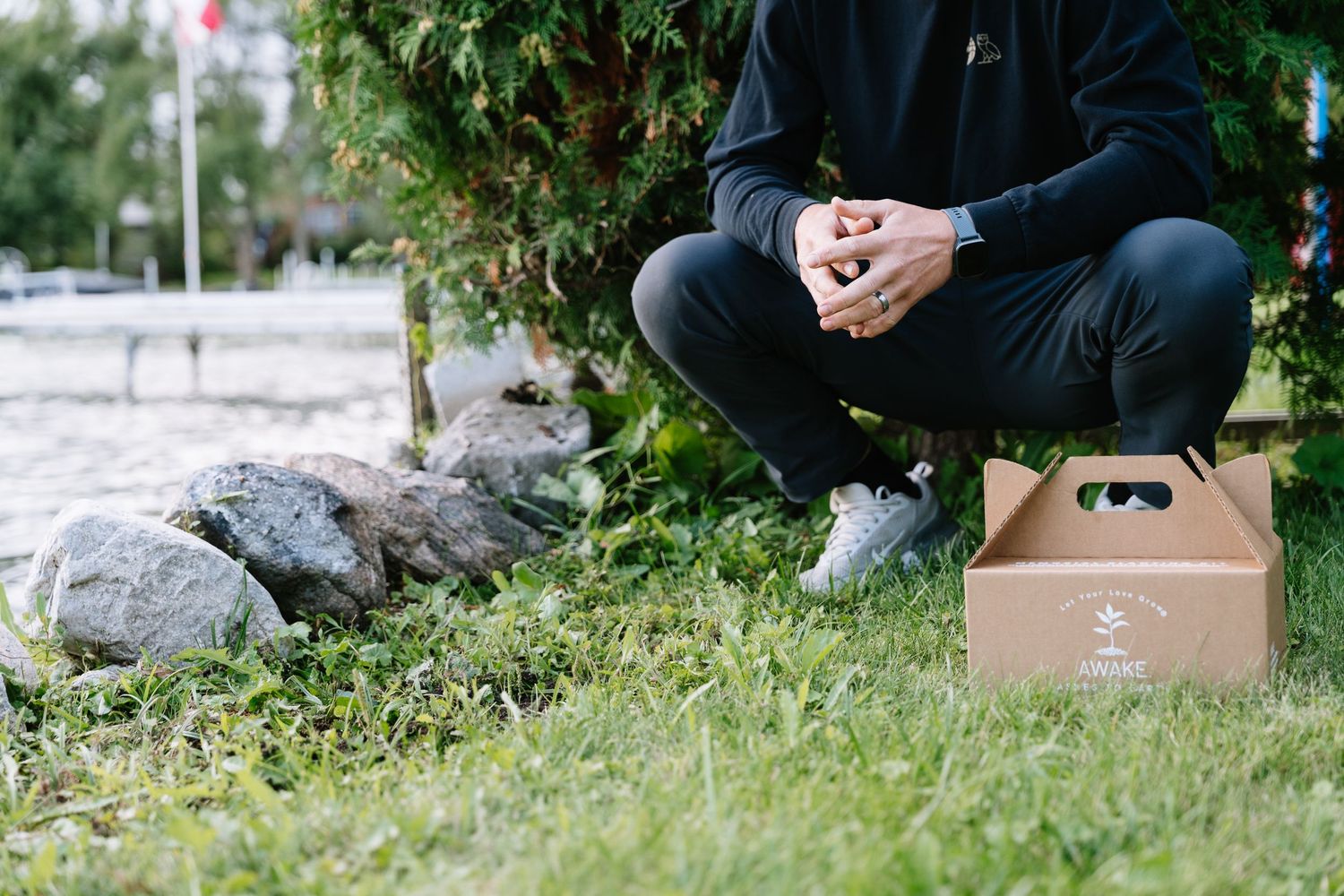Cardboard boxes sit on grassy ground surrounded by green plants and foliage in a garden setting.