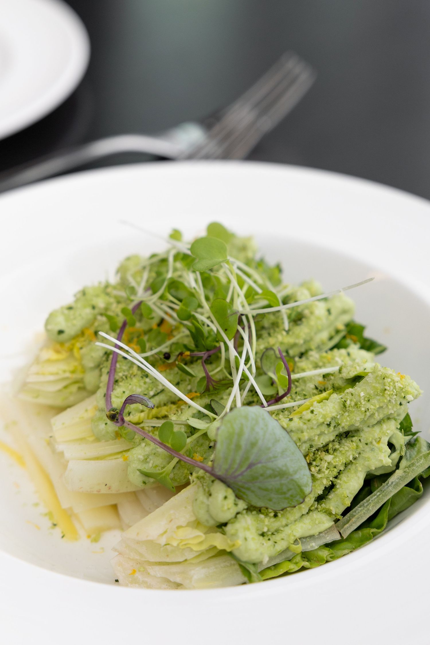 Fresh salad with delicate microgreens and sliced fennel arranged on white plates with a light vinaigrette.