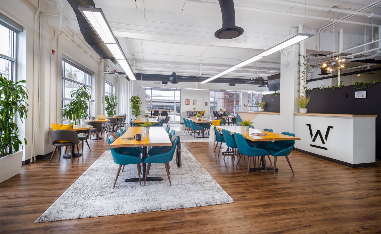 Modern office space with wooden floors, teal chairs, and white walls featuring collaborative seating areas and workstations.