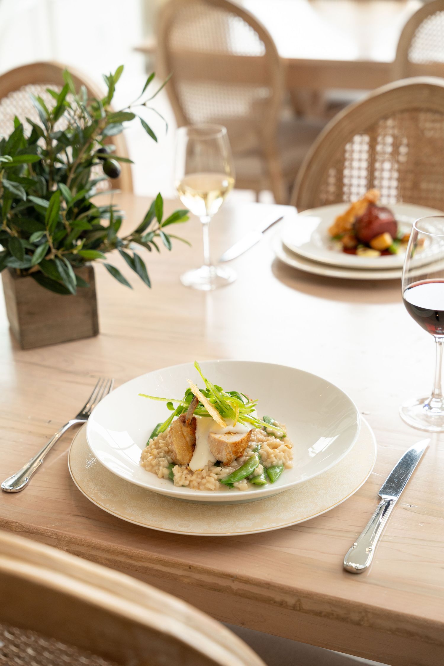 Modern restaurant table setting with plated dishes, wine glasses, and decorative greenery.