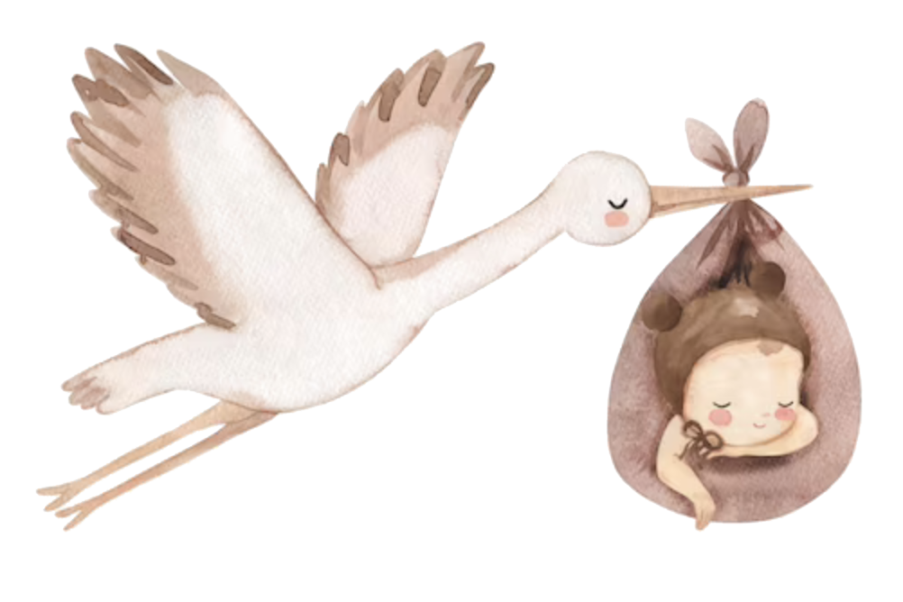 A white stork carrying a swaddled sleeping baby in flight, painted in a soft watercolor style.