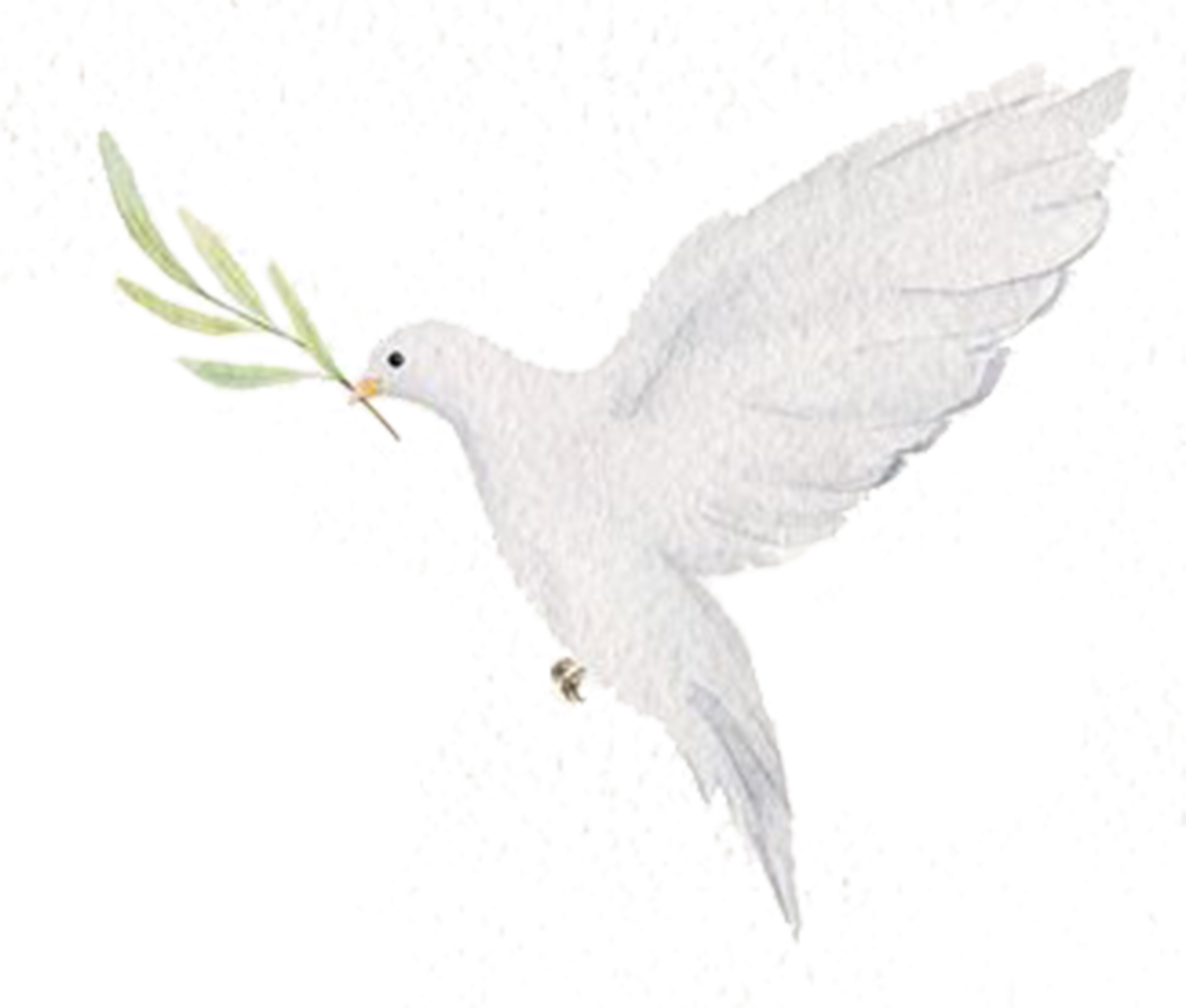 White dove silhouette with outstretched wings holding an olive branch against a black speckled background.