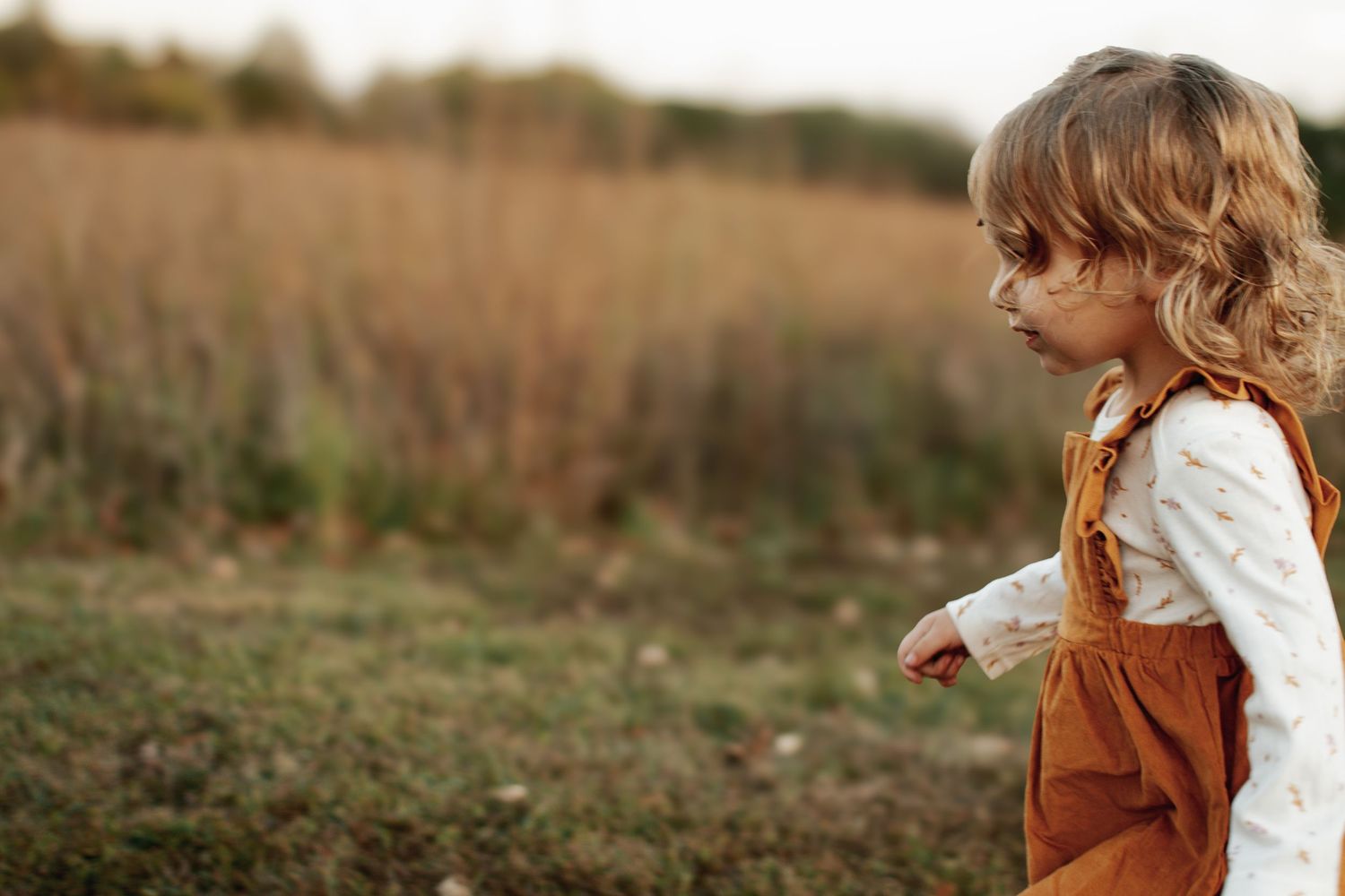 A curly-haired toddler girl in a rust-colored overall dress walks through an autumn field.